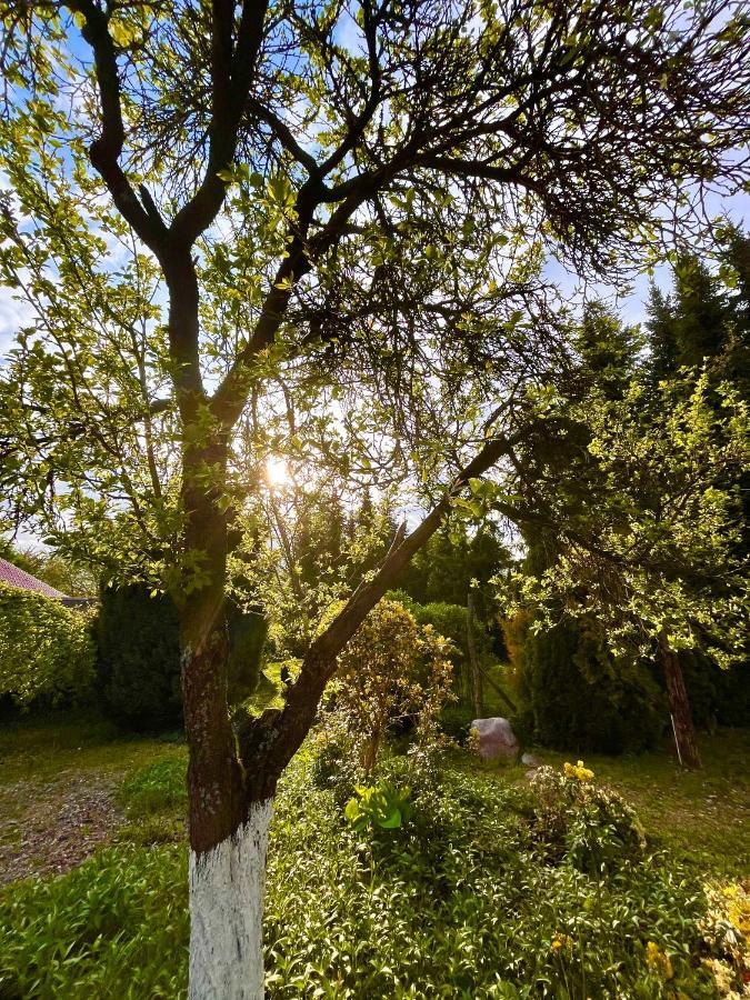 Holiday home Na Koncu Swiata Szymbark (Pomerania)